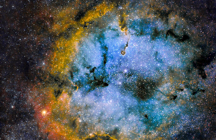 IC1396 - THE ELEPHANT'S TRUNK NEBULA