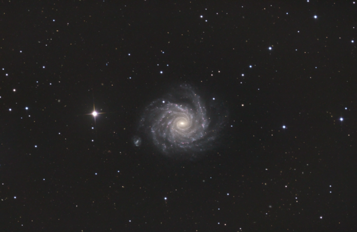 NGC 1232 & Deep Field
