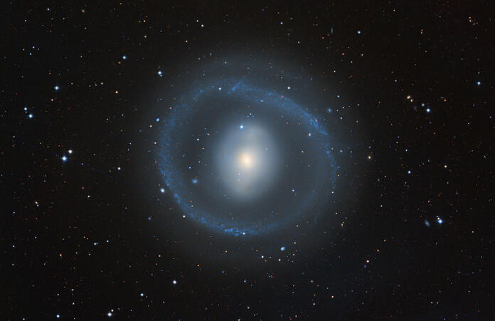 NGC1291