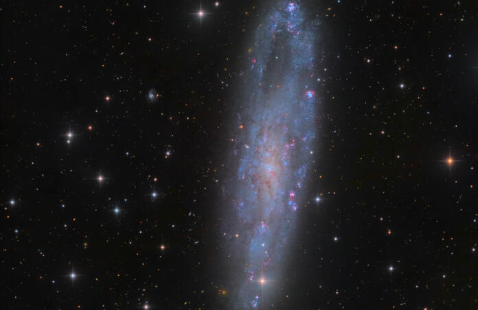NGC 247