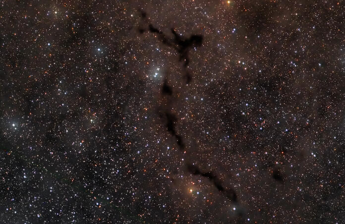 Barnard 150 - Seahorse Nebula