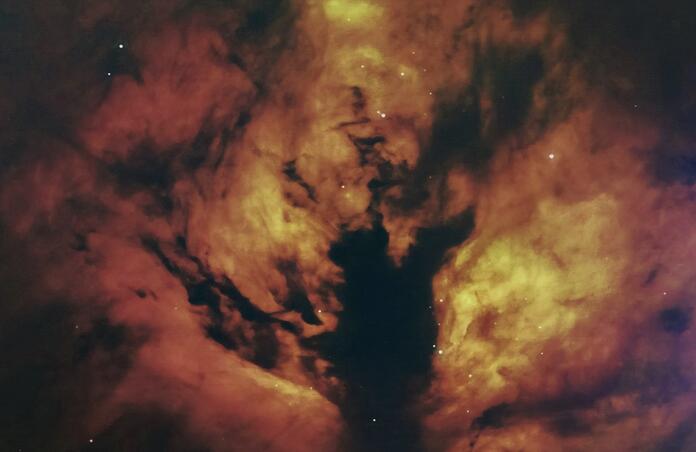 Flame Nebula (NGC 2024)