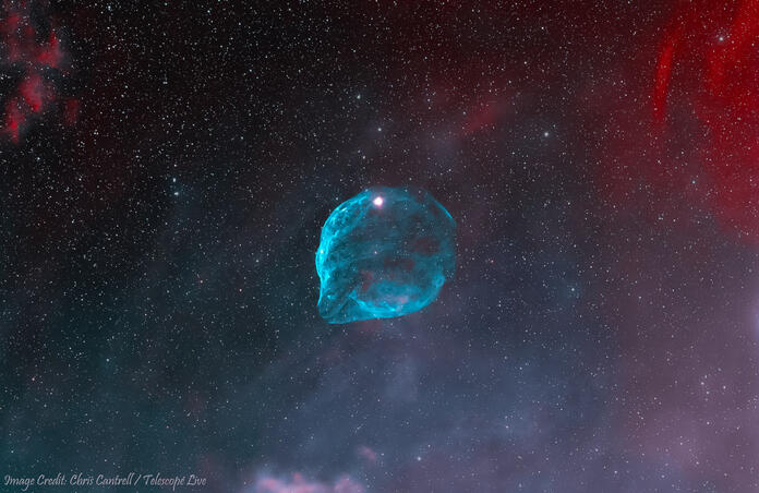 Sh2-308 Dolphin Head Nebula