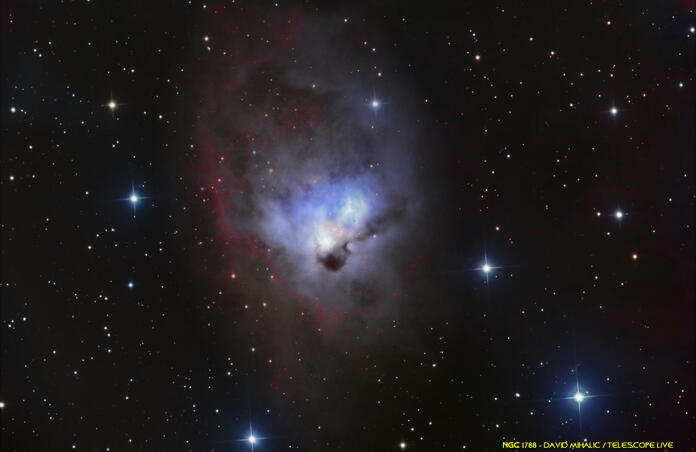 NGC 1788 Reflection Nebula in Orion