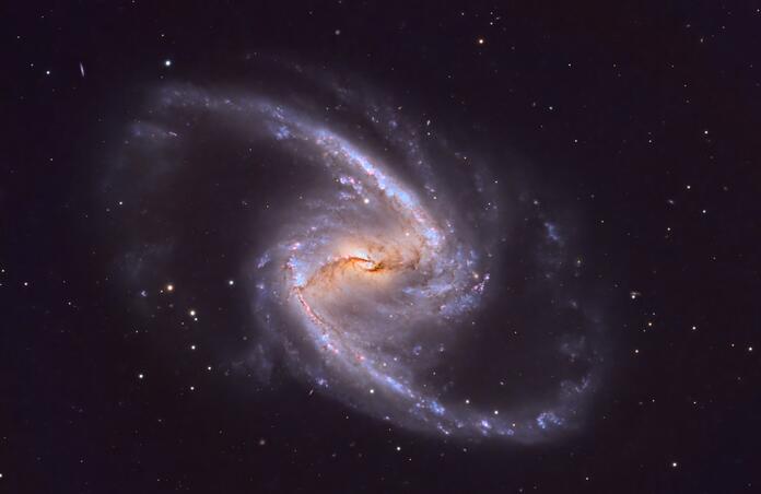 NGC1365