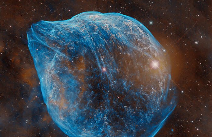 SH2-308 - Dolphin Nebula