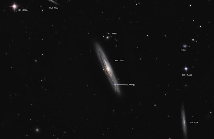 SN 2024gy in NGC 4216
