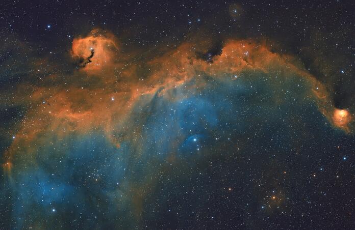 IC 2177 The Seagull Nebula