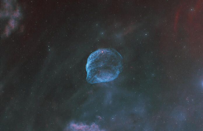 Dolphin Head Nebula