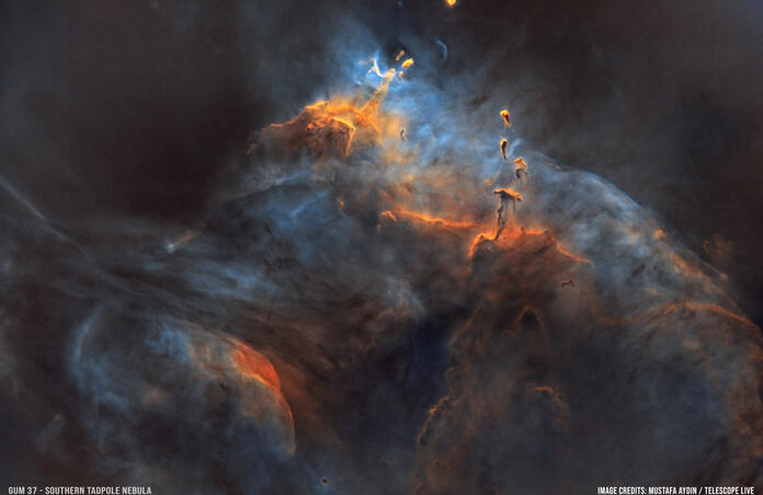 GUM 37 Southern Tadpole Nebula Starless