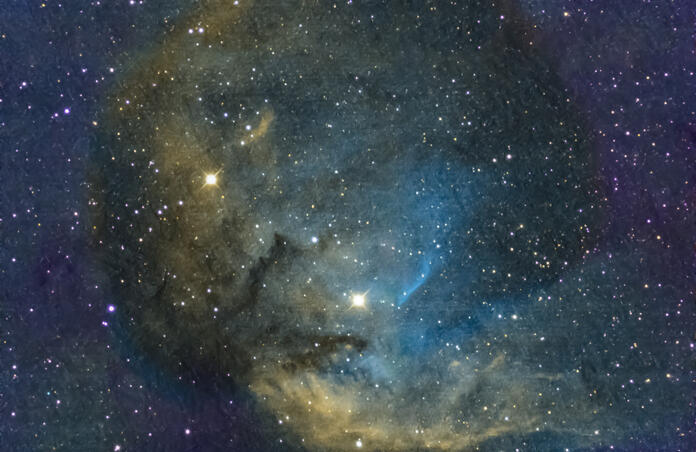 Tulip Nebula