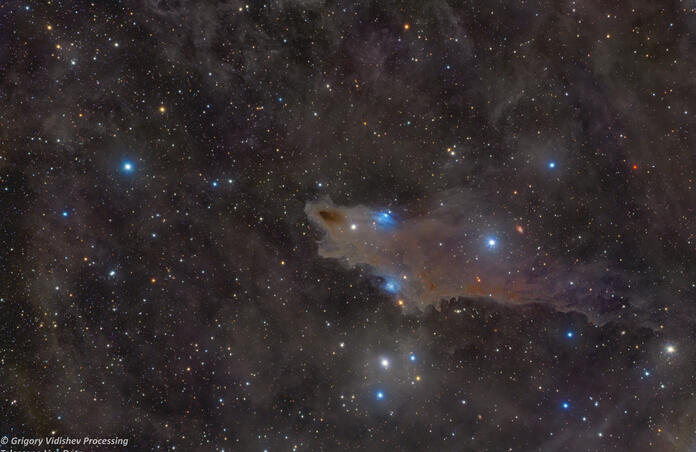 LDN1235 Shark Nebula