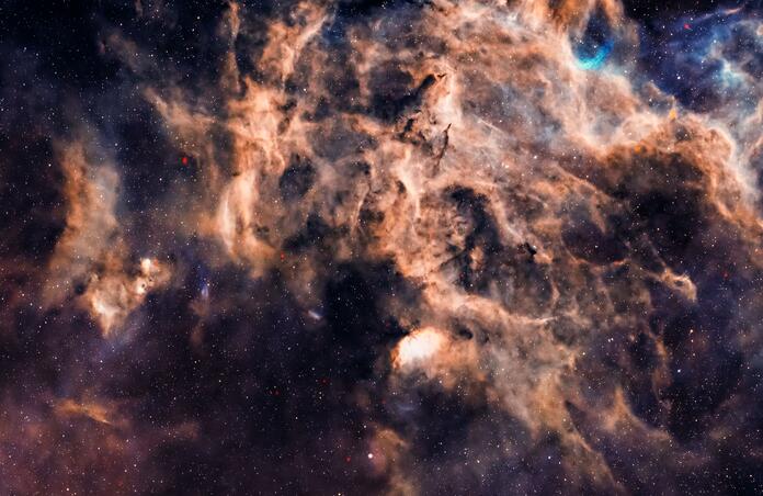 Close-up on CED 173, the Tulip Nebula