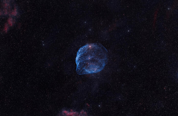 Dolphin Head Nebula in HOO