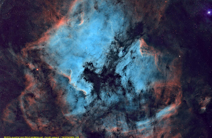 NGC 7000 (N. American & Pelican Nebulae)