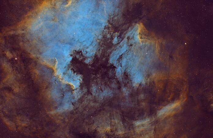 Cygnus: Stars, Nebulae & Wall