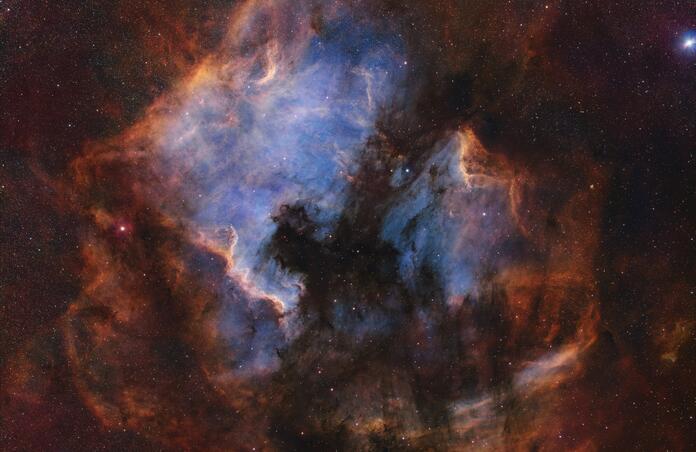 The North America Nebula and the Pelican Nebula