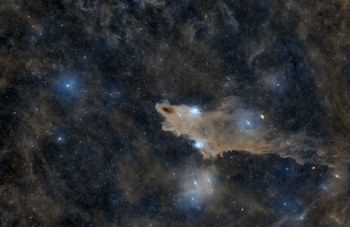 Dark Shark Nebula