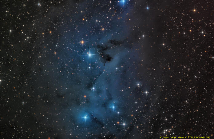 IC 2169 - Reflection nebula in Monoceros