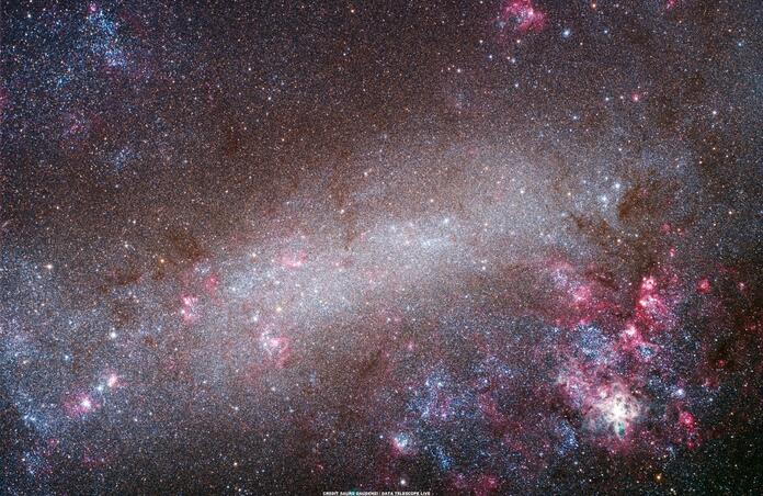 Large Magellanic Cloud