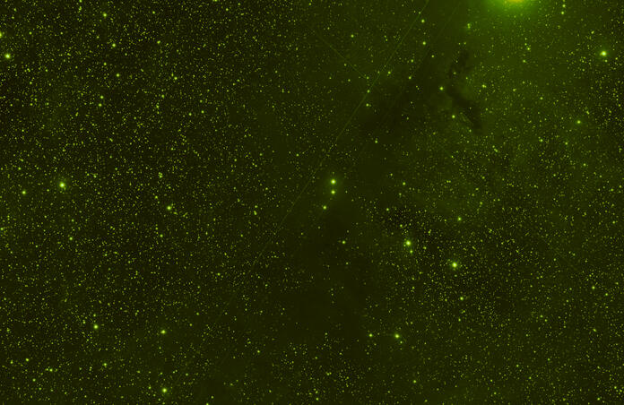 NGC-1333