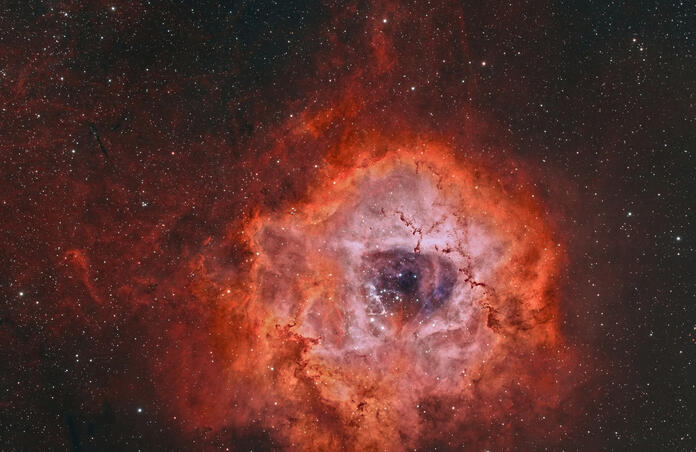 Rosette nebula (custom HOO tri-color blend)