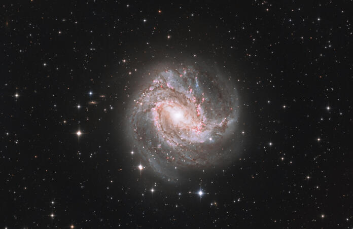 M83