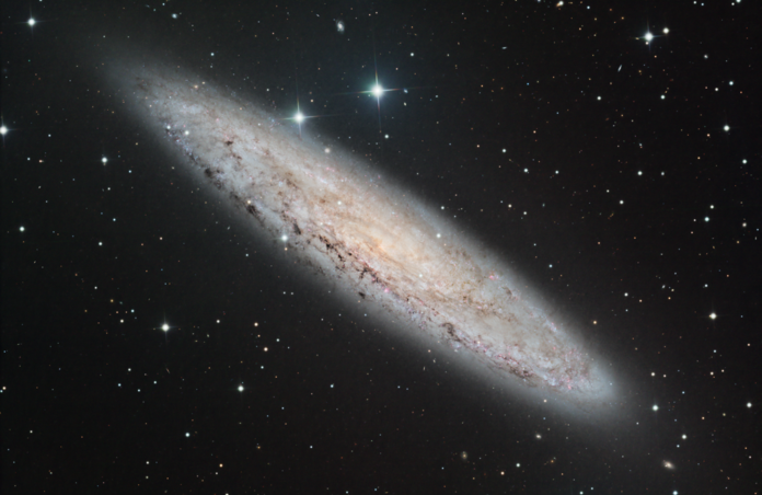 Galaxy NGC 253 in the Constellation Sculptor