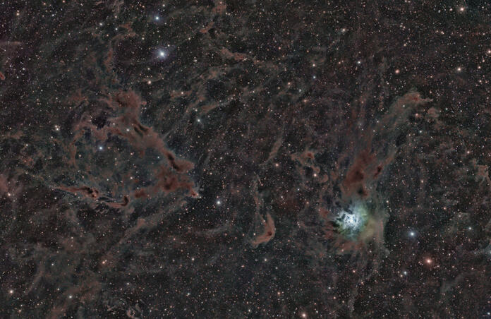 LDN 1157 and Iris nebula