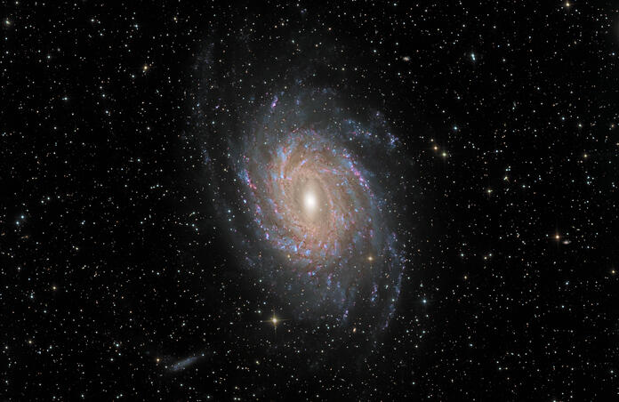 NGC67444