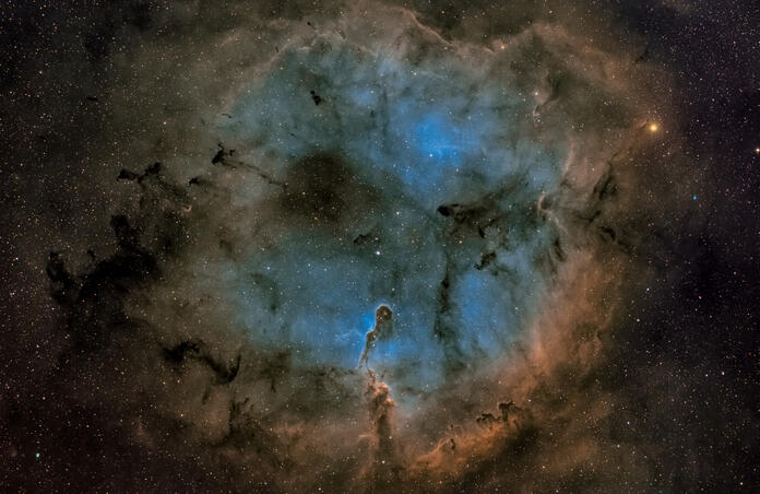 Elephant Trunk Nebula...