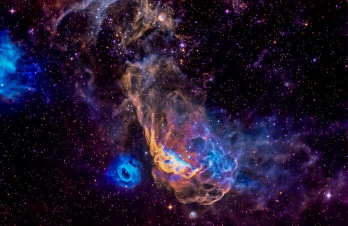 COSMIC REEF: NGC 2014 AND NGC 2020