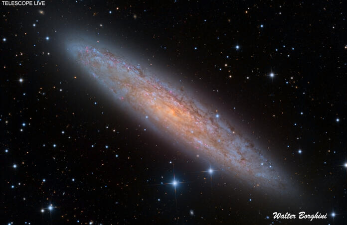 NGC 253