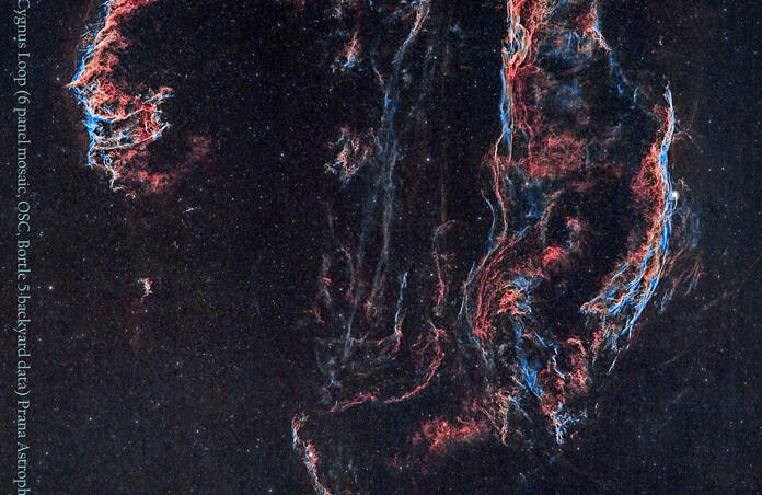 Cygnus Loop (OSC, Mosaic)