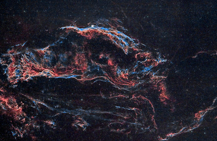 Cygnus (Flying Fish in deep space)