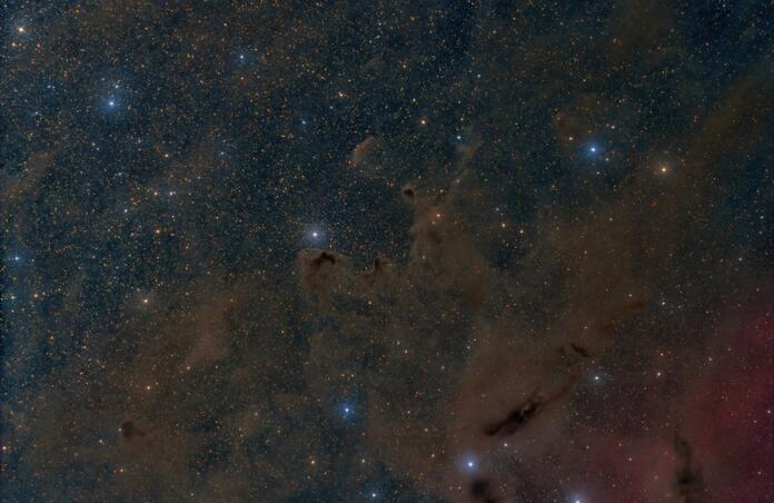 LDN 146 Molecular Cloud in Ophiuchus