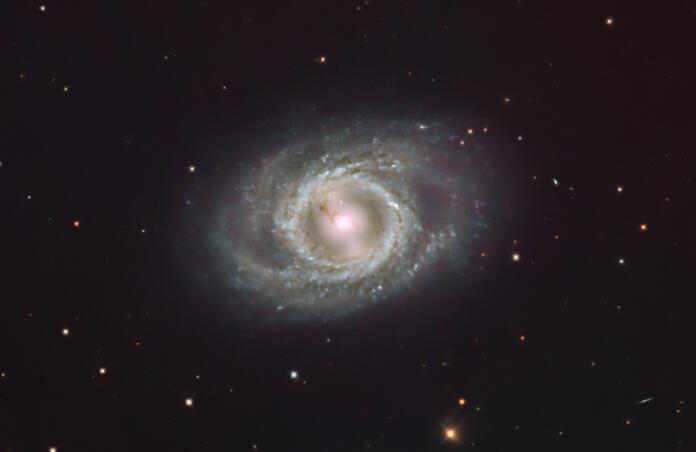 M95