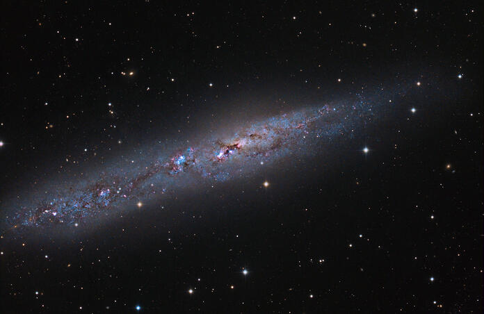 NGC 55