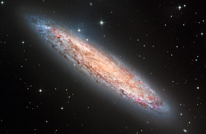 NGC253