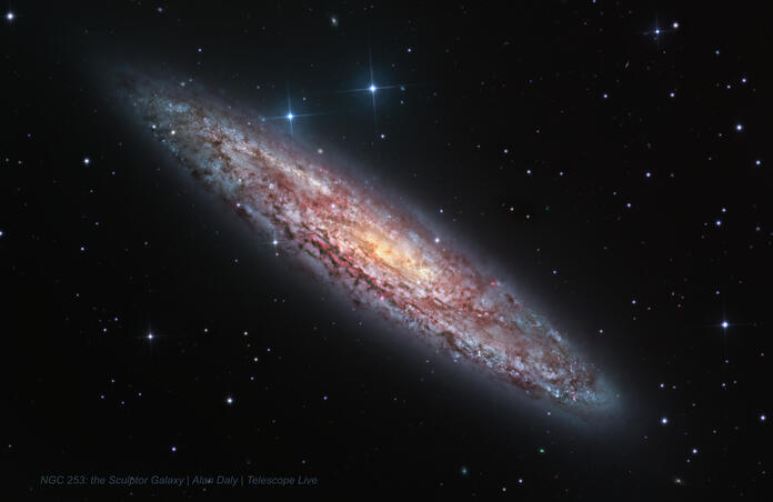 NGC253