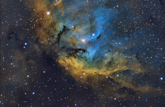 TULIP NEBULA