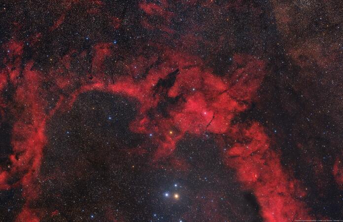 SL-17 Dark Wolf Widefield 