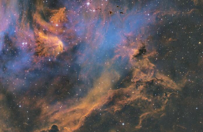IC 2948 - The Running Chicken Nebula