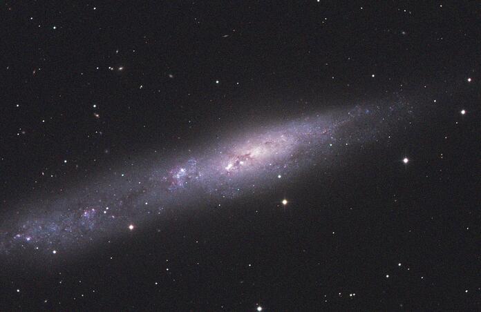NGC 55