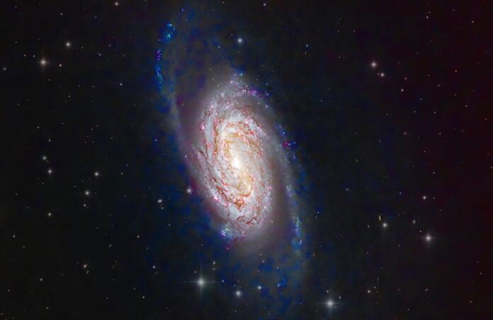 NGC2903