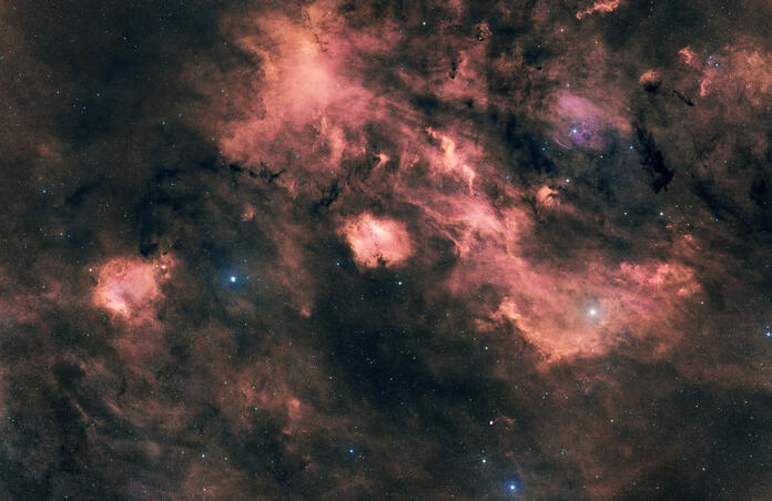 Sh2-135