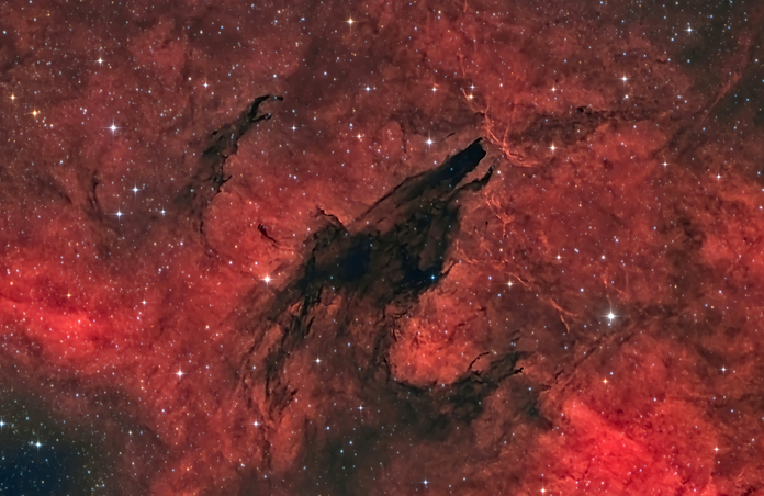 Dark Wolf howling (Zoomed in\Ha+LRGB)