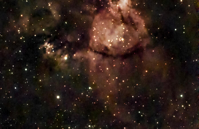 IC 1795 - Fish Head