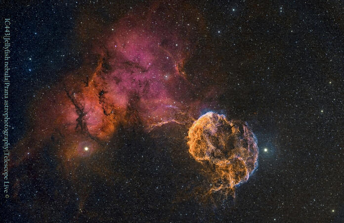 IC443, Jellyfish nebula (HSO version) 
