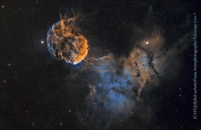 IC443, Jellyfish nebula (Custom SHO blend)
